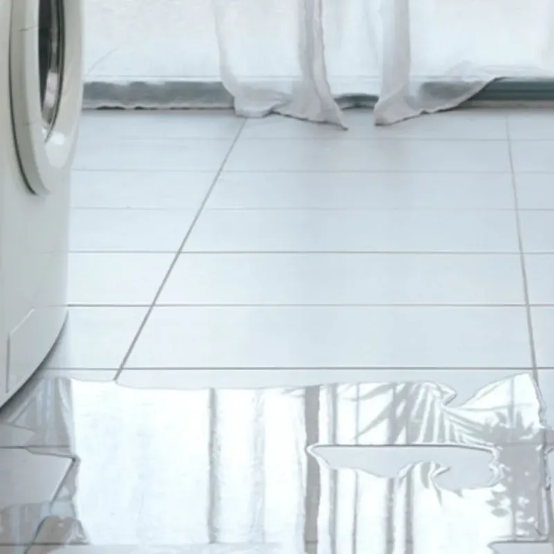 Appliance Leak Cleanup in Bannockburn, IL