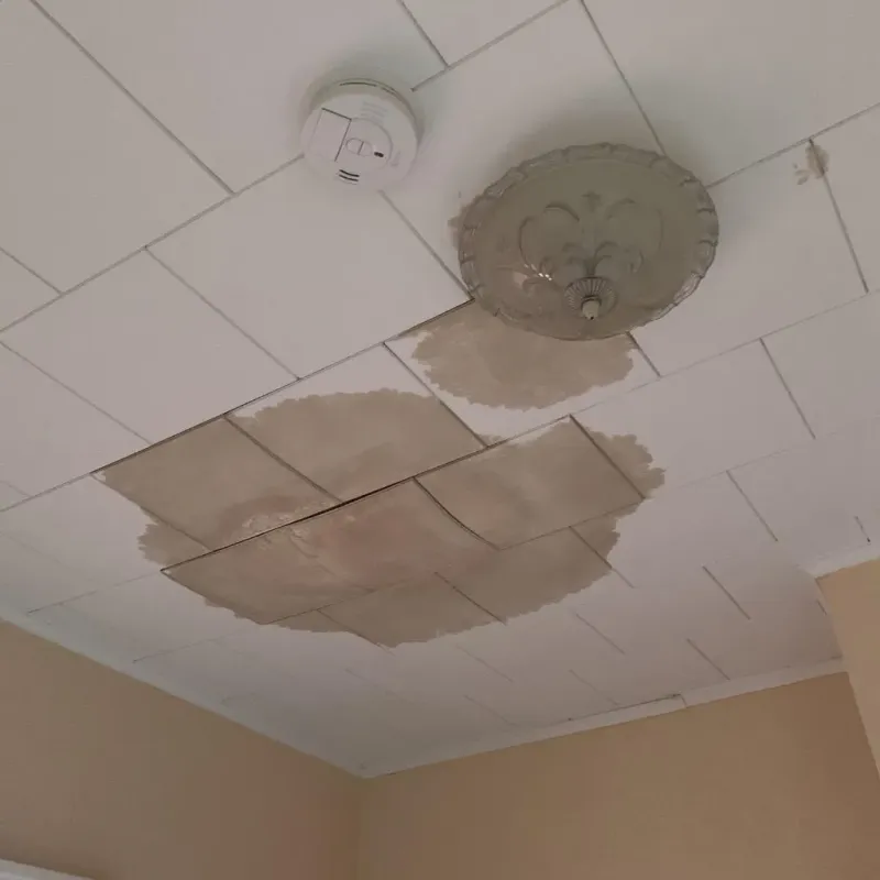 Ceiling Water Damage Repair in Bannockburn, IL