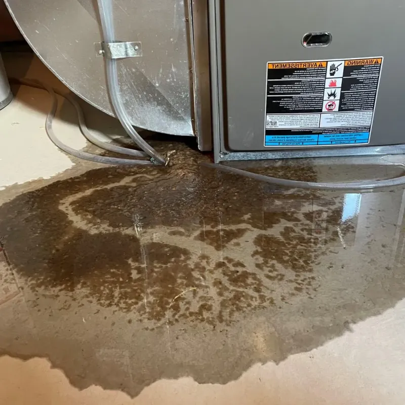 Pipe Burst and Leak Restoration in Bannockburn, IL