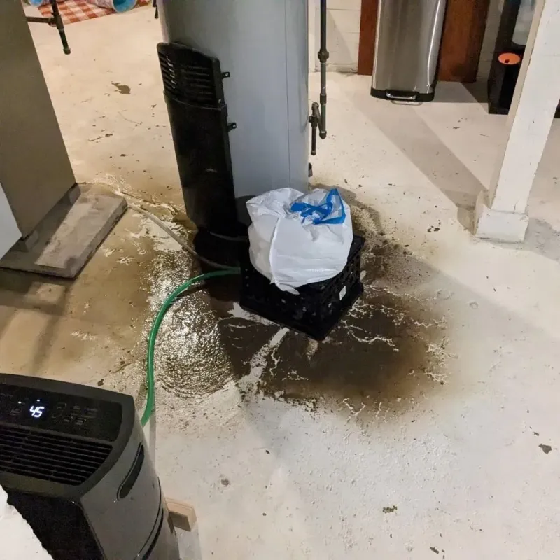 Sewage Backup Cleanup Service in Bannockburn, IL